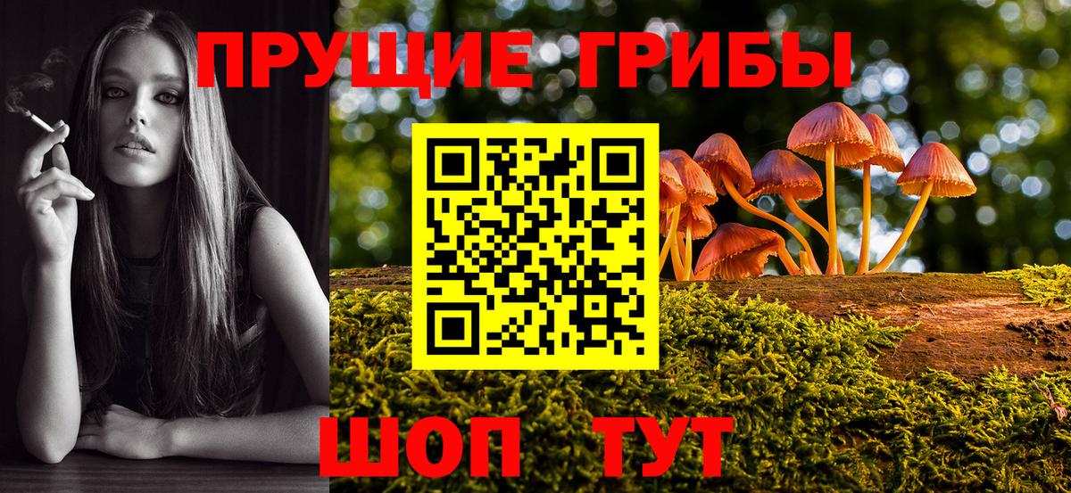 Галлюциногенные грибы GOLDEN TEACHER Магнитогорск
