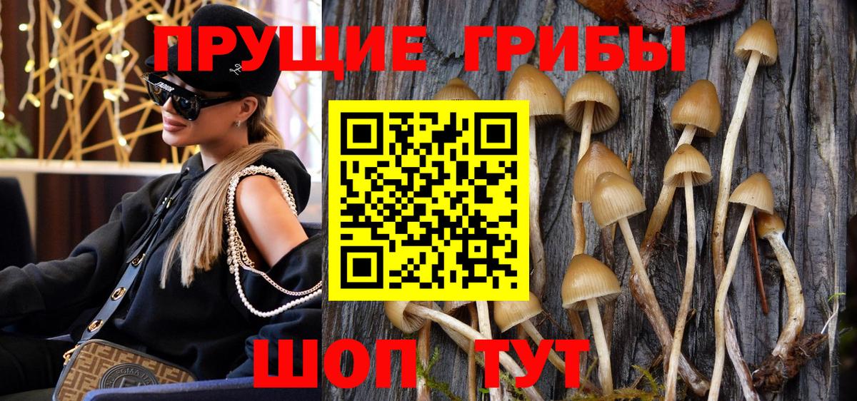 Псилоцибиновые грибы Psilocybe  Вход с VPN  Магнитогорск  купить наркотик  Галлюциногенные грибы Psilocybe 